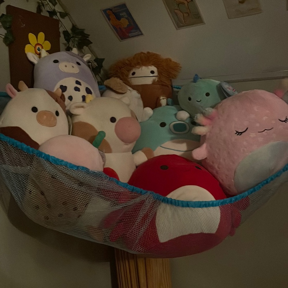 COPY - Squish for sale or trade